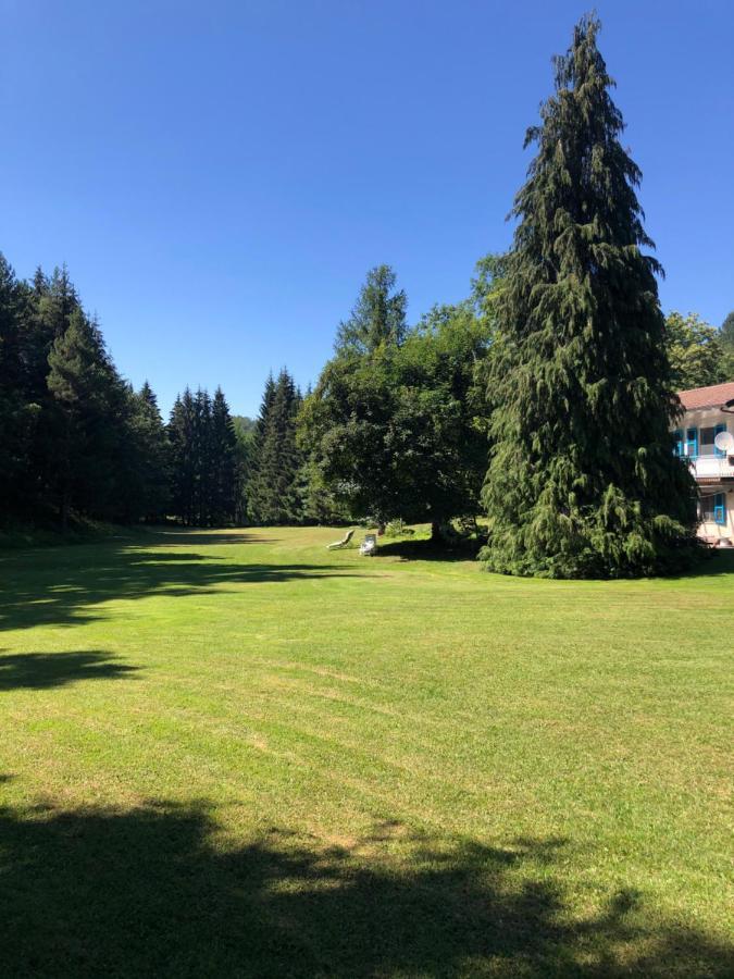 Agriturismo La Casa Nel Bosco Boveglio Exterior photo